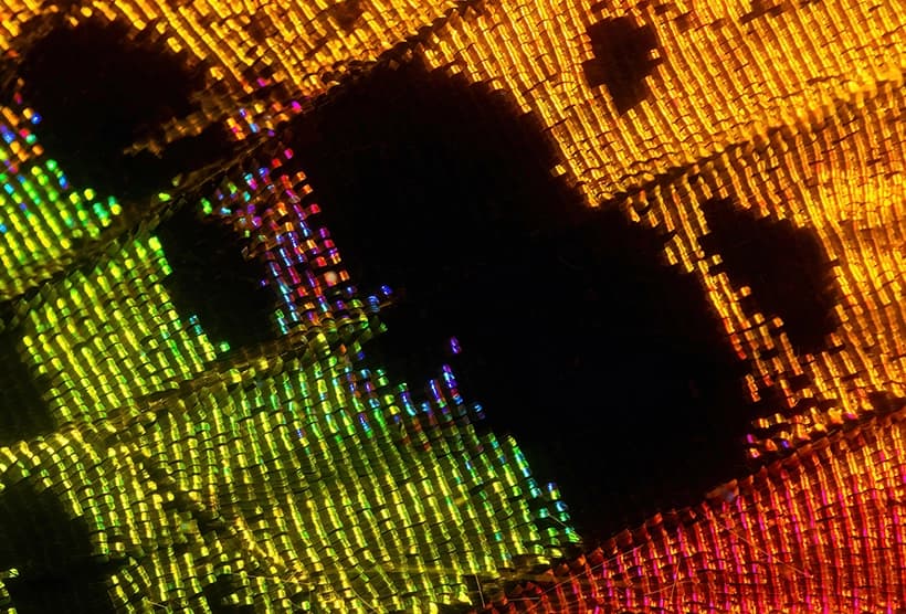What is Reinforcement Learning Training Data? (And Where to Find It)