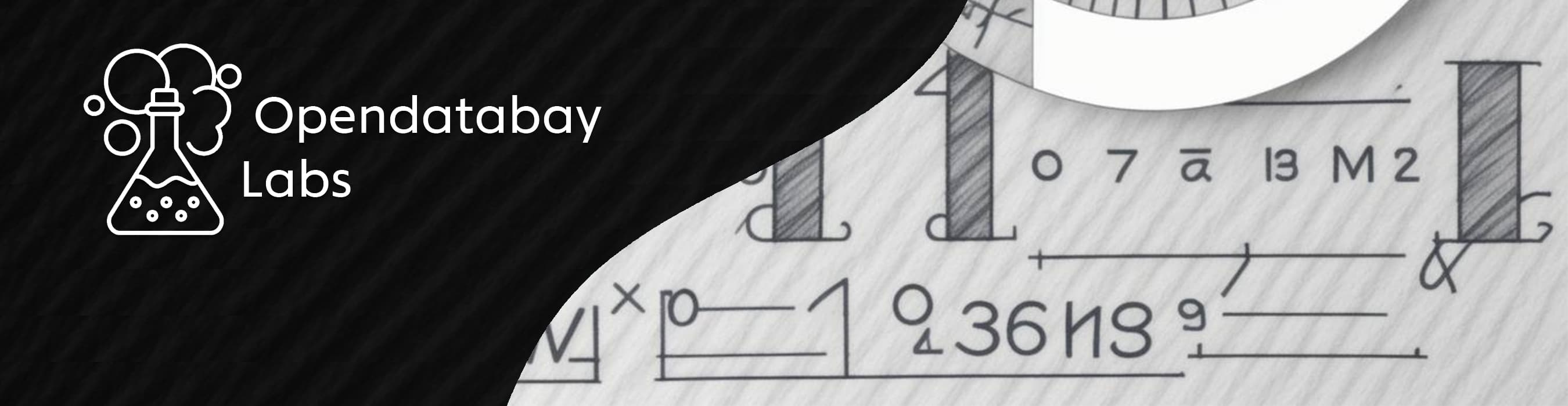 Data provider Opendatabay Labs  banner image on Opendatabay marketplace