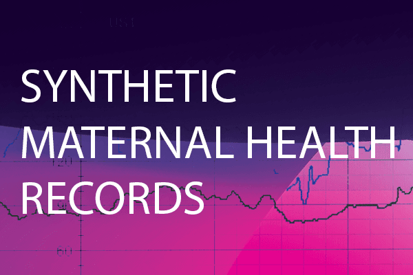 Synthetic Maternal Health Records Dataset Dataset on Opendatabay data marketplace 