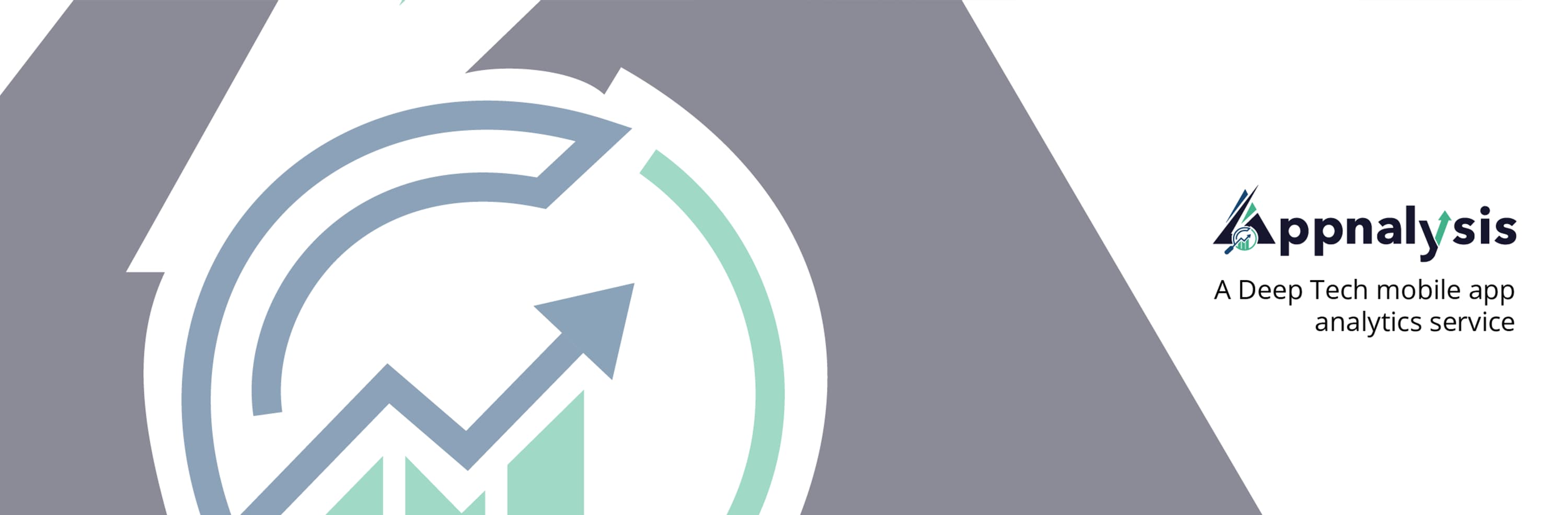 Data provider Appnalysis banner image on Opendatabay marketplace