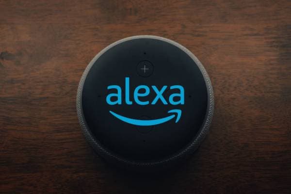 Alexa Question and Answer Dataset on Opendatabay data marketplace 