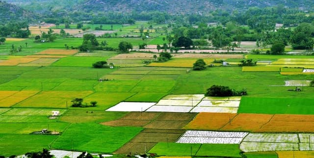 Karnataka Agricultural Yields Dataset on Opendatabay data marketplace