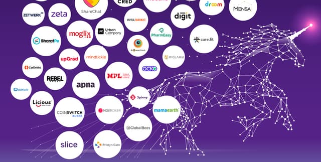 High-Growth Indian Business Metrics Dataset on Opendatabay data marketplace