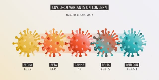 COVID-19s Effect on the Workforce Dataset on Opendatabay data marketplace