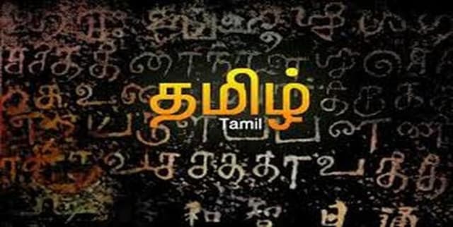 Tamil-English Code-Switching Dataset Dataset on Opendatabay data marketplace
