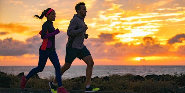 Bellabeat Wellness Case Study Data Dataset on Opendatabay data marketplace