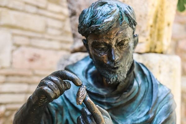 The Franciscan deal Dataset on Opendatabay data marketplace
