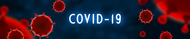 Prophet-Ready COVID-19 Holiday Dynamics Dataset on Opendatabay data marketplace