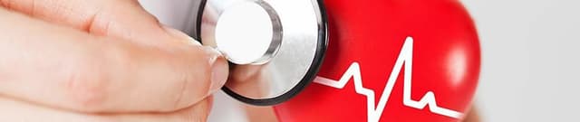 National Causes of Death - Indonesia Dataset on Opendatabay data marketplace