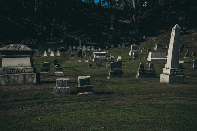 Historical Causes of Death Worldwide Dataset on Opendatabay data marketplace