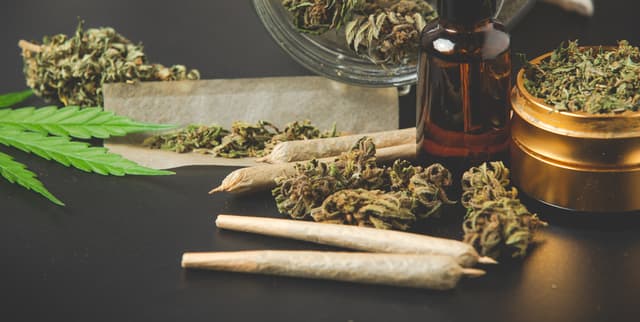 International Drug-Related Deaths Statistics Dataset on Opendatabay data marketplace