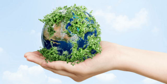 Country Sustainability Performance Metrics Dataset on Opendatabay data marketplace