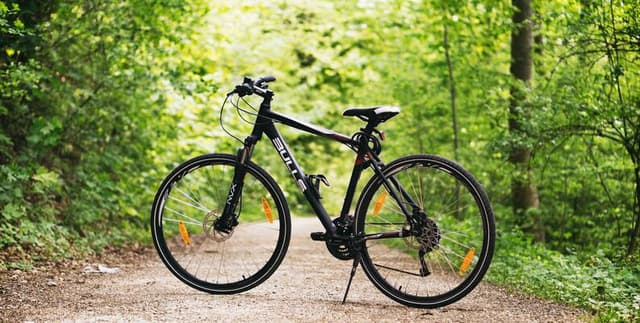 Historical Hourly Bike Rentals and Weather Patterns Dataset on Opendatabay data marketplace