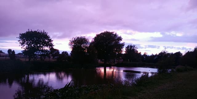 Global Water and Air Quality by City Dataset on Opendatabay data marketplace