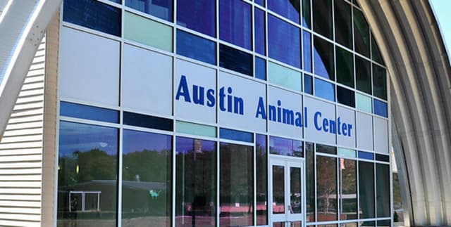 Texas Municipal Animal Shelter Statistics Dataset on Opendatabay data marketplace