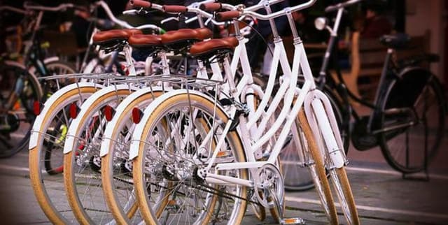Bike Share Demand Prediction Data Dataset on Opendatabay data marketplace