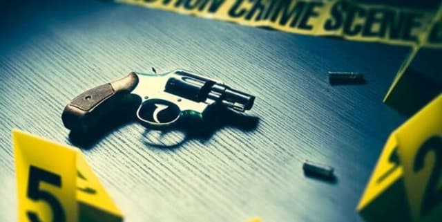 Historical US Gun Violence Incidents Dataset on Opendatabay data marketplace