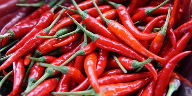 Capsaicin Concentration Data Dataset on Opendatabay data marketplace