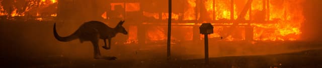 Structured Digital Discourse Archive Dataset on Opendatabay data marketplace