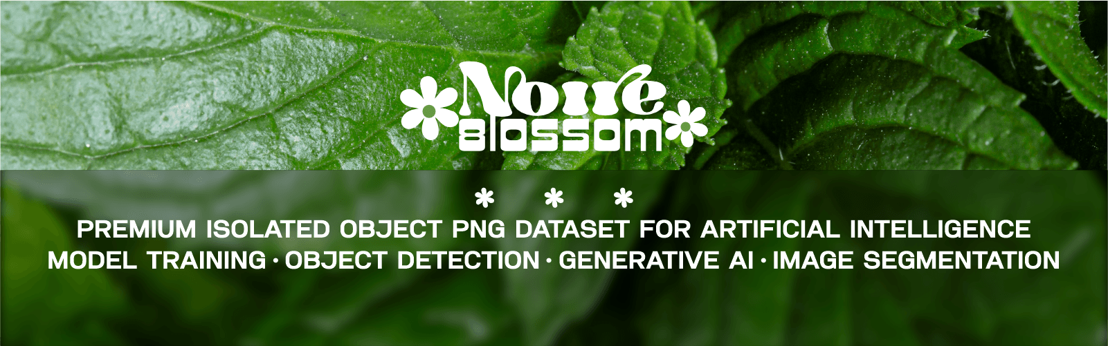 NOIRE BLOSSOM banner Data provider NOIRE BLOSSOM banner image on Opendatabay marketplace