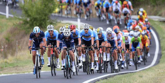 Global Data Science Competitor Stats Dataset on Opendatabay data marketplace