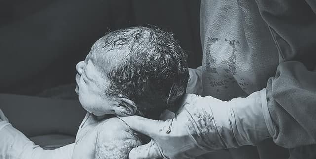 Historical Global Neonatal Deaths Dataset on Opendatabay data marketplace