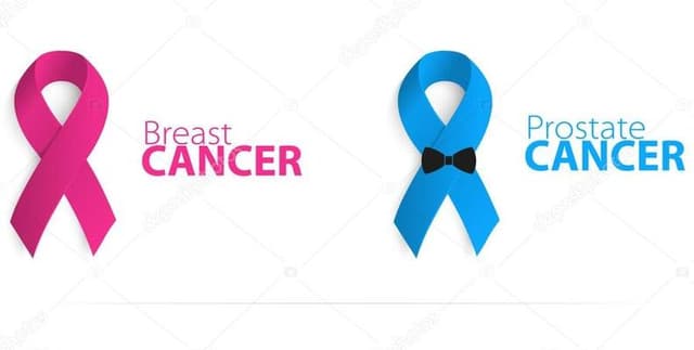 International Cancer Data for OECD Nations Dataset on Opendatabay data marketplace