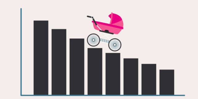 Japan Historical Birth and Demographic Statistics Dataset on Opendatabay data marketplace