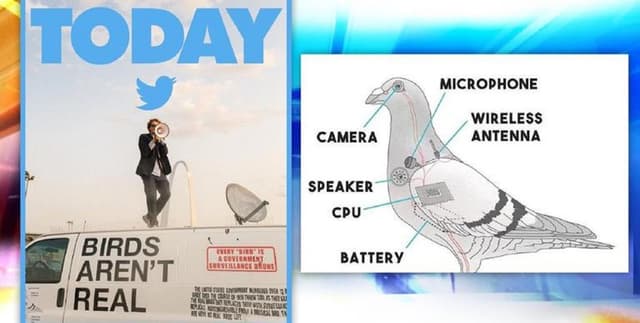 Birds Aren't Real Reddit Dataset Dataset on Opendatabay data marketplace