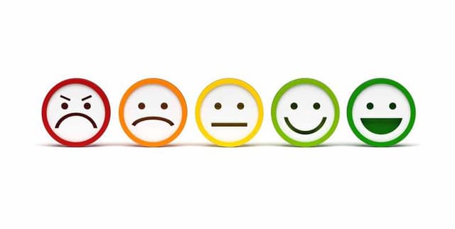 Annotated Tweet Sentiment Dataset Dataset on Opendatabay data marketplace