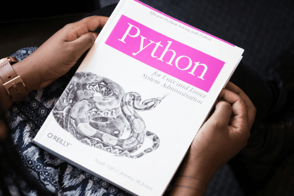 Python Natural Prompts Dataset on Opendatabay data marketplace
