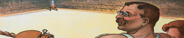 Historical US Presidents Data Dataset on Opendatabay data marketplace