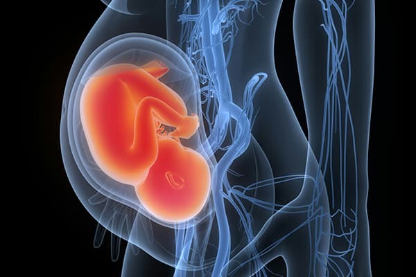 Synthetic Pregnancy & Fetal Health Dataset Dataset on Opendatabay data marketplace