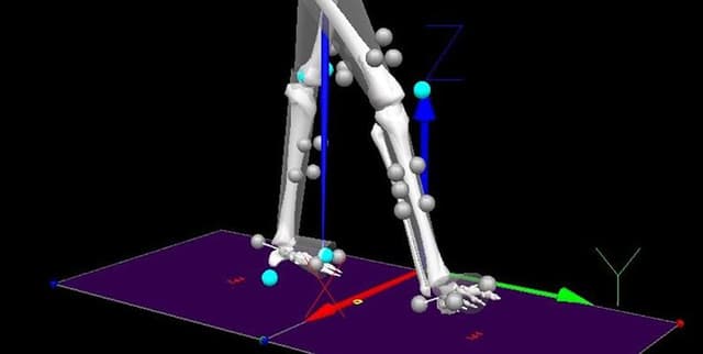 iPhone Accelerometer and Gyroscope Motion Data Dataset on Opendatabay data marketplace