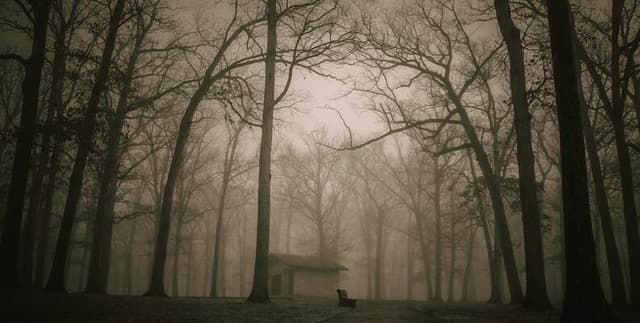 SCP Foundation Main Series Text Repository Dataset on Opendatabay data marketplace