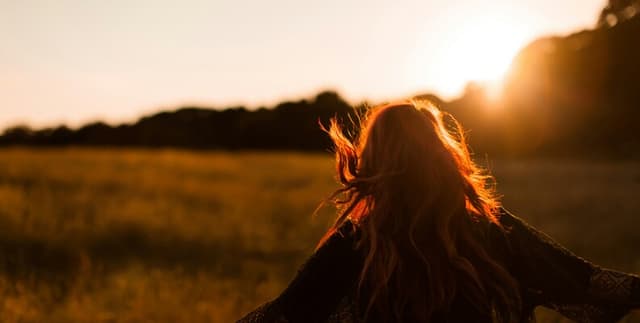 Cross-National Happiness Data Dataset on Opendatabay data marketplace