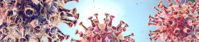 French News on Coronavirus Dataset on Opendatabay data marketplace