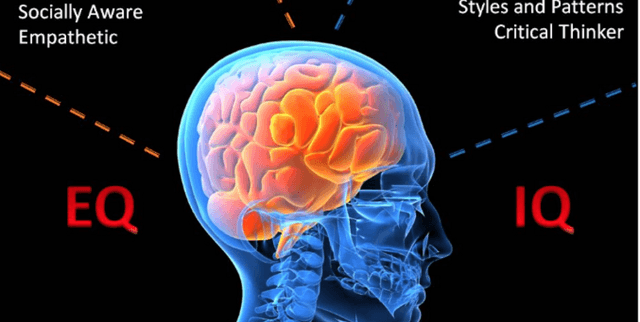 Worldwide IQ and Development Indicators Dataset on Opendatabay data marketplace