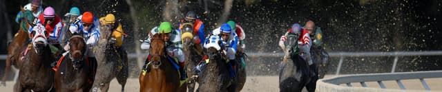 Historical US Horse Racing Performance Data Dataset on Opendatabay data marketplace