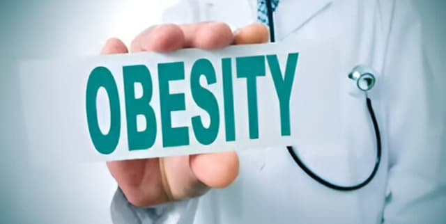 Health and Lifestyle Obesity Dataset Dataset on Opendatabay data marketplace