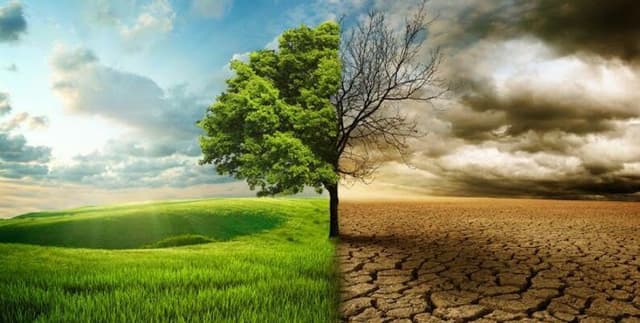 Global Climate Trends Data Dataset on Opendatabay data marketplace