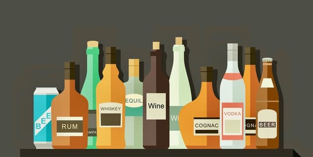 Alcohol Consumption and Economic Indicators Dataset Dataset on Opendatabay data marketplace