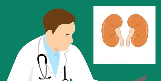 UAE Chronic Kidney Disease Risk Factor Data Dataset on Opendatabay data marketplace