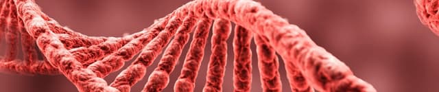 National Institute Diabetes Forecasting Set Dataset on Opendatabay data marketplace