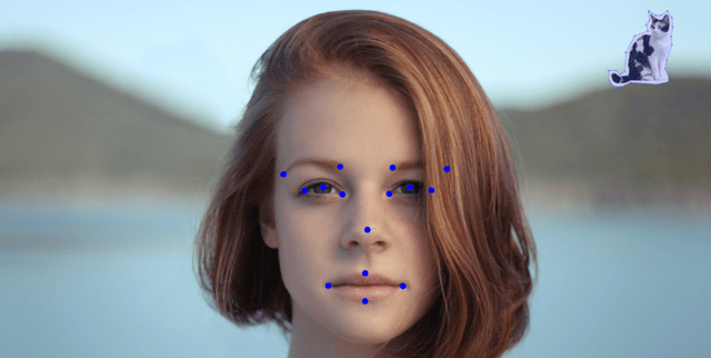 Annotated Biometric Face Keypoints Data Dataset on Opendatabay data marketplace