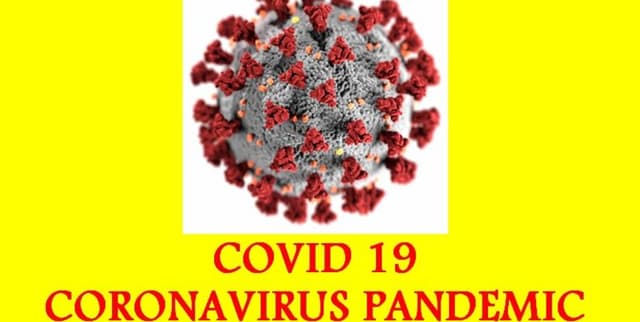 World COVID-19 Case and Death Data Dataset on Opendatabay data marketplace