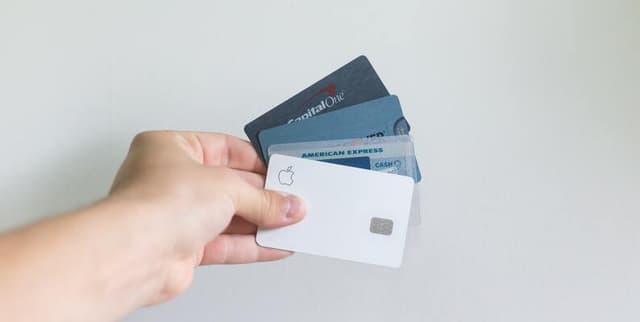 Cleaned Credit Card Applicant Data Dataset on Opendatabay data marketplace