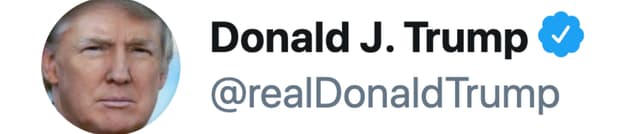 Trump Twitter Rhetoric Dataset Dataset on Opendatabay data marketplace