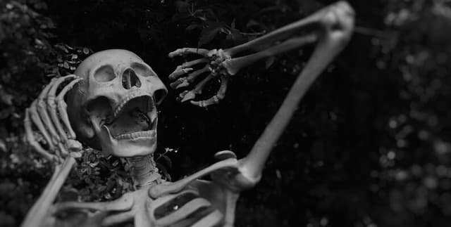 Decades of Horror Film Database Dataset on Opendatabay data marketplace