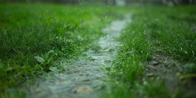 Historical All-India Monsoon Rainfall Statistics Dataset on Opendatabay data marketplace